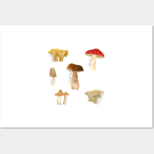 Fungus Among Us Posters and Art